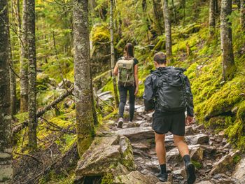 Wandern entlang des Prädikatswanderweges 'Goldsteig'