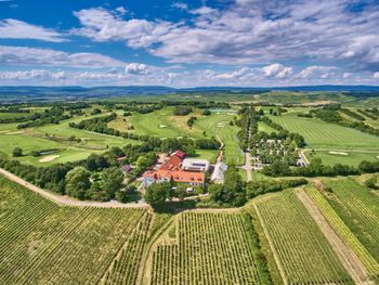 Yoga-Arrangement "Innere Ruhe im Weinberg"