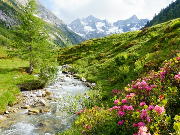7 Tage Wellness in Vorarlberg in Damüls inkl. Halbpension