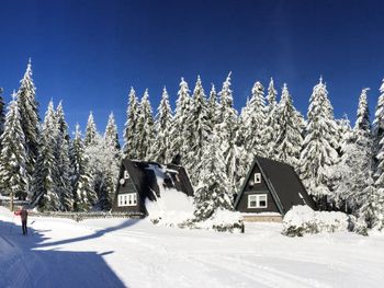 Ihre Auszeit im Thüringer Wald - 8 Tage Vollpension