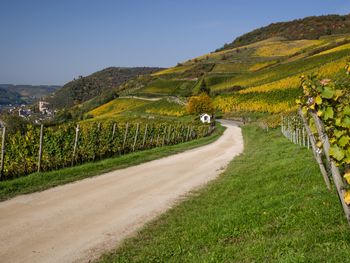 4 Tage Erholung im Sommer im Tal der Loreley