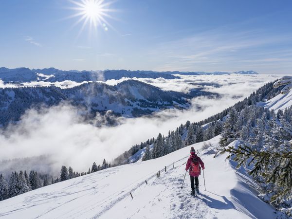 8 Tage Familienzeit - Kinder bis 10 Jahre frei! in Hippach, Tirol inkl. Halbpension