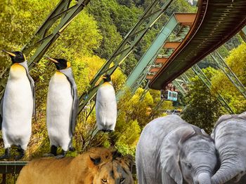 Familienspaß im Wuppertaler-Zoo