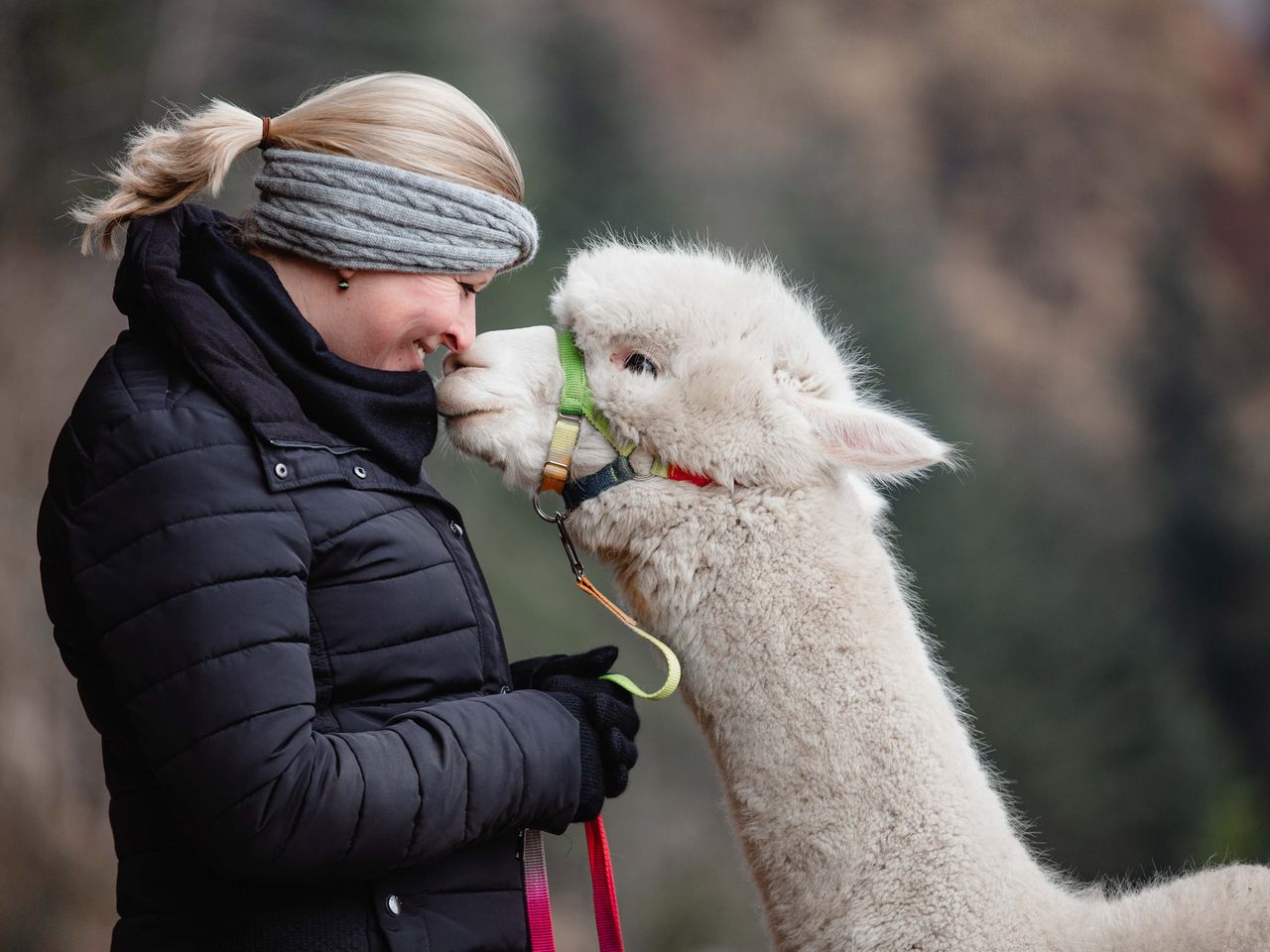 Ochensbergers 'STEIERNESS' Wellness und Kulinarik