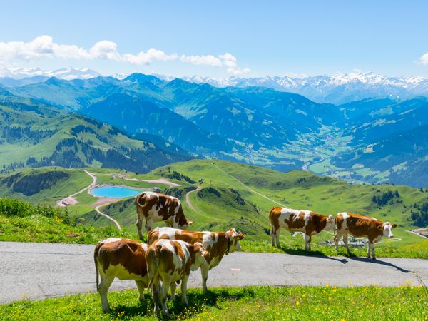 6 Tage Wellness & Sport in den Kitzbüheler Alpen in Brixen im Thale, Tirol inkl. Halbpension