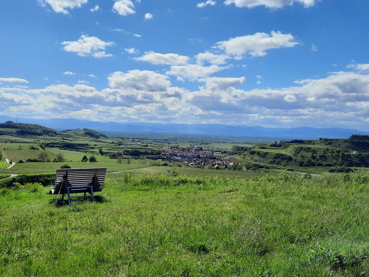 4 Tage Kurzurlaub an Rhein und Kaiserstuhl