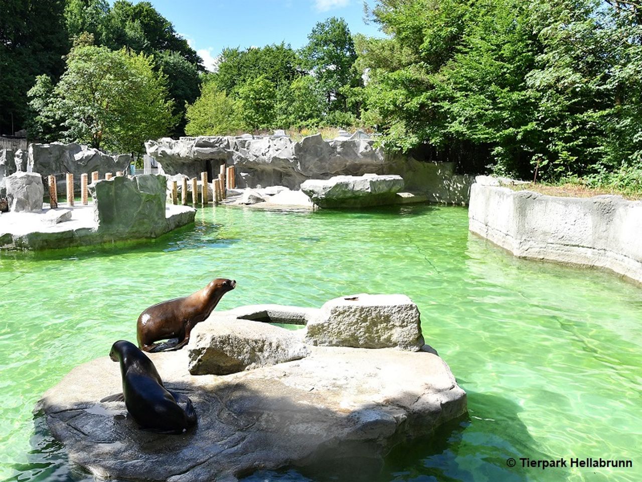 ACHAT Zoo-Erlebnis  inkl. Tierpark Hellabrunn (1 ÜN)