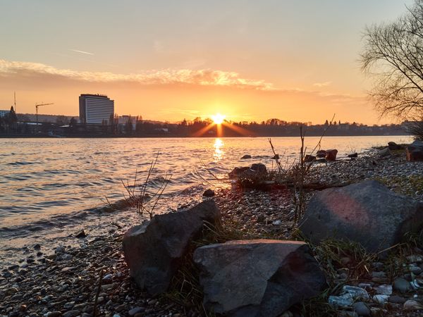 Picknick am Rhein in Bonn Halbpension...