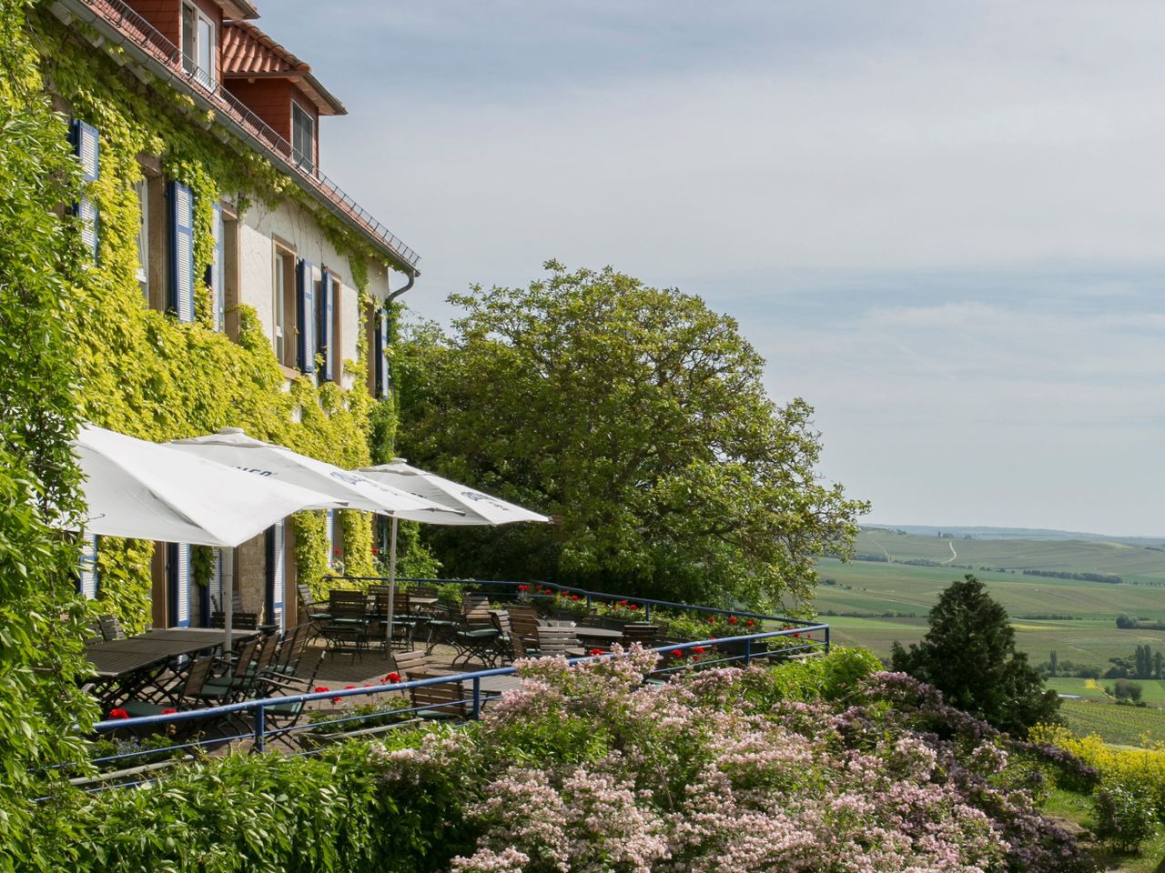 Yoga-Arrangement "Innere Ruhe im Weinberg"