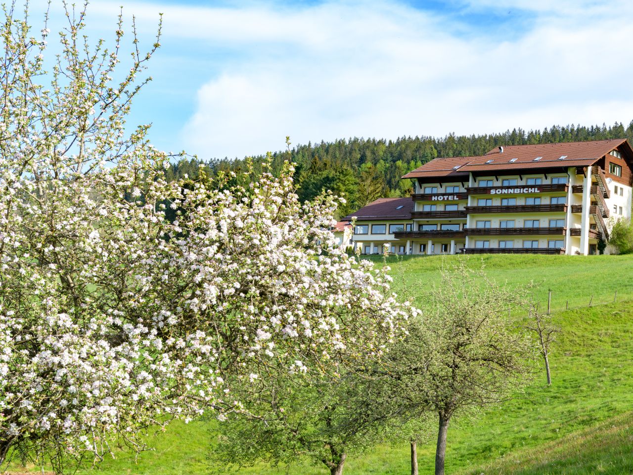 Genießertage im Bayerischen Wald mit Massage & HP