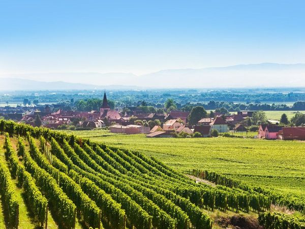 4 Tage Wissembourg Wein & Nordvogesen entdecken in Rott bei Wissembourg, Grand Est inkl. Halbpension