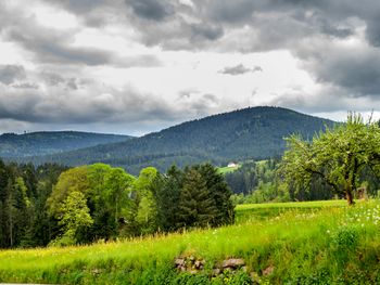 Tapetenwechsel Schwarzwald-Einfach was anderes sehen