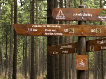 Harz'lich Willkommen - 4 Tage Auszeit im Habichtstein