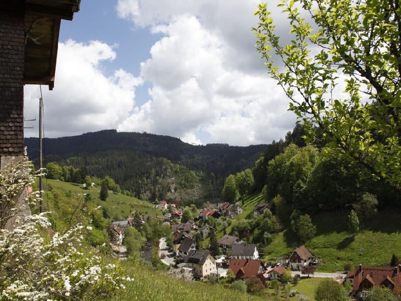 Zeit zu Zweit im schönen Schwarzwald 2024