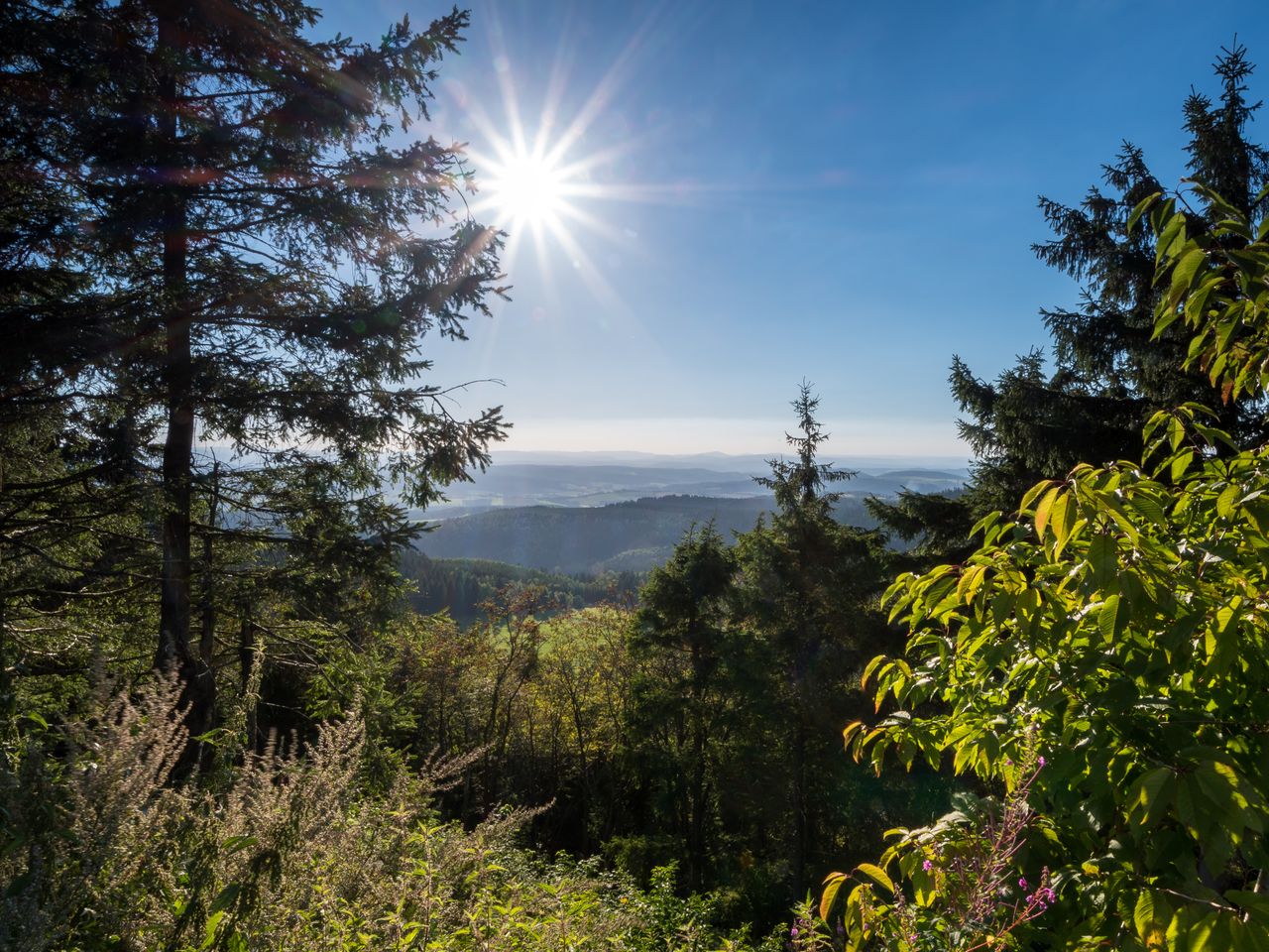 6 Tage Urlaub im Harz