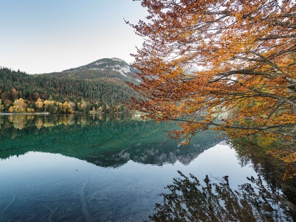 3 Tage Herbstliche Schmankerl am Wilden Kaiser in Söll, Tirol inkl. Halbpension