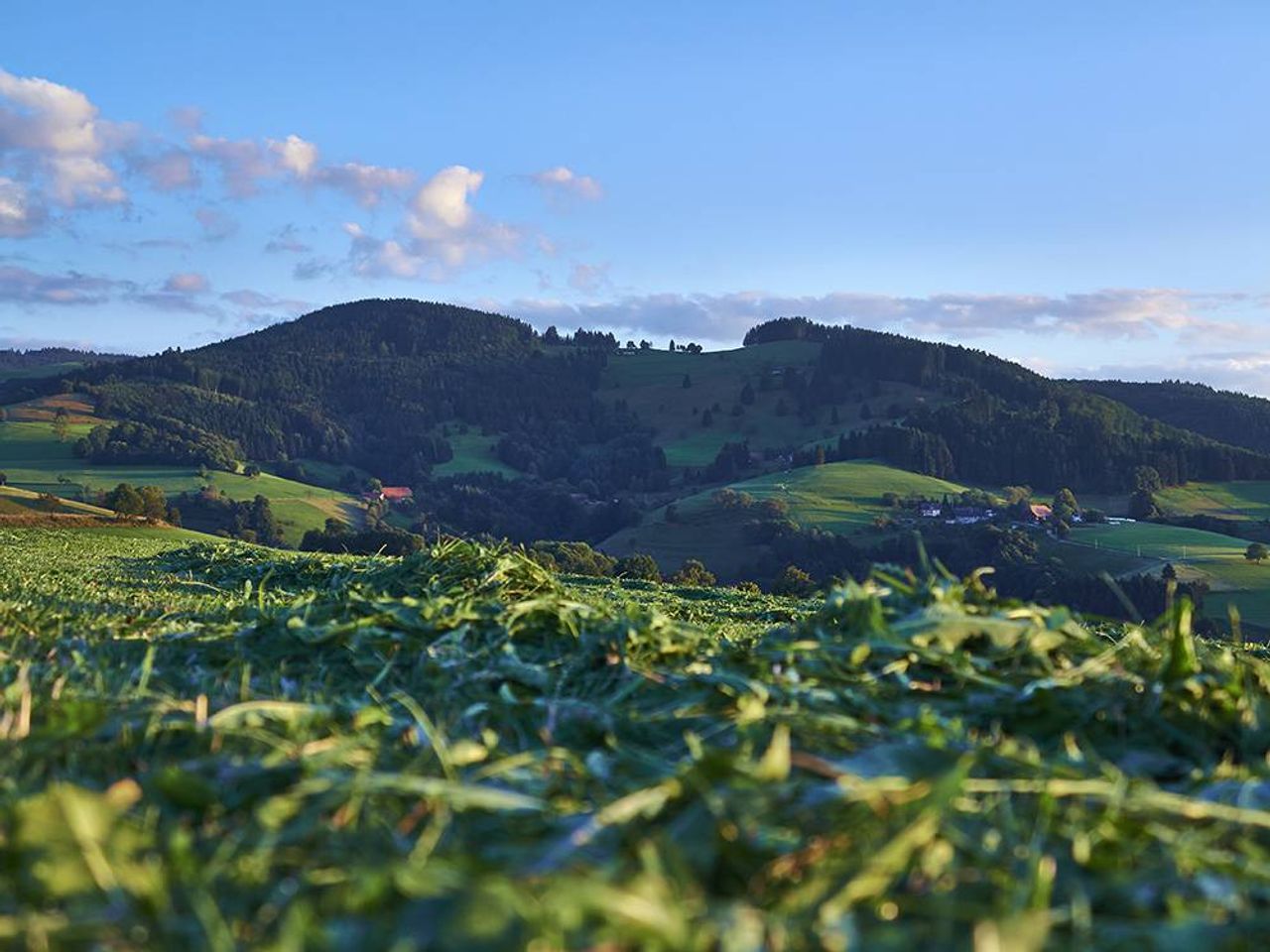 Romantiktage im Schwarzwald