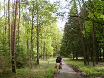 Natur pur: Wanderurlaub in der Schorfheide (5 Tage)