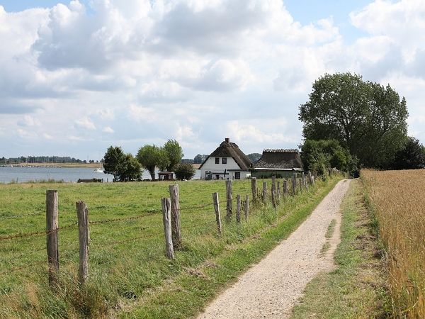4 Tage Wandern und Genuss im Naturpark Schlei in Güby, Schleswig-Holstein inkl. Halbpension