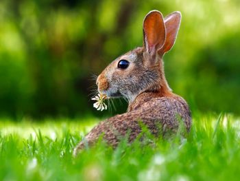 Ostern im Grünen - Willkommen im Taunus  | 5 Tage