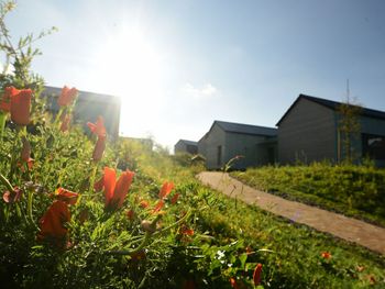 Manoah Entdecker - Urlaub im Ferienhaus im Chaletstil