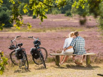 Stippvisitite in der Lüneburger Heide (1 Nacht)