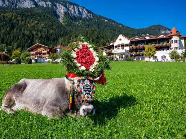 4 Tage Almabtrieb in Söll am Wilden Kaiser – 4 Nächte, Tirol inkl. Halbpension