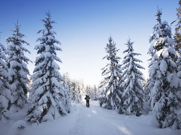 5 Tage Last-Minute Winterkurztrip im Thüringer Wald in Finsterbergen (Friedrichroda), Thüringen inkl. Halbpension Plus