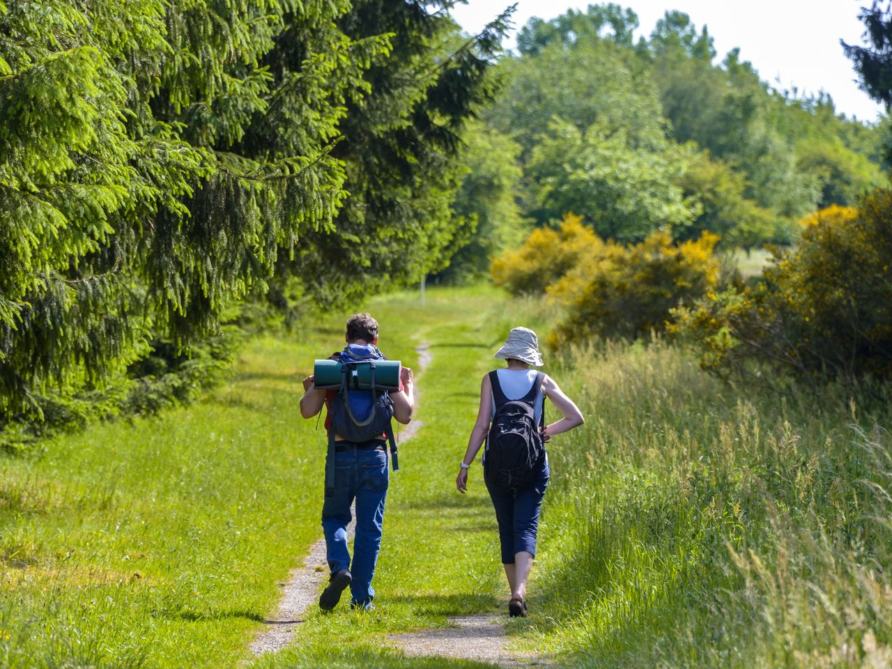 6 Wandertage im National Park Südeifel!