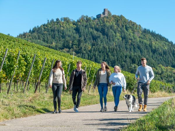 Wandern in 4 Jahreszeiten im Schwarzwald – 5 Tage in Baden-Baden, Baden-Württemberg inkl. Halbpension
