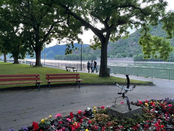 5 Tage Sommer Kurzurlaub am Rhein