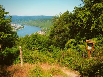 2 Tage Kurztrip - und den herrlichen Rhein genießen