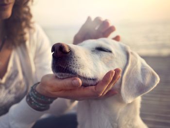 Hundeurlaub - Erholung für Mensch und Tier HP/ 3 Tage