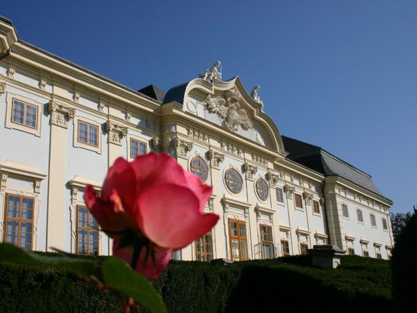 Wohnen im Schloss Halbturn – 3 Tage mit HP, Burgenland inkl. Halbpension