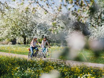 DINE & BIKE & WINE - 2 Nächte