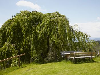 Urlaub im Biolandhaus am Liebesbrunnen