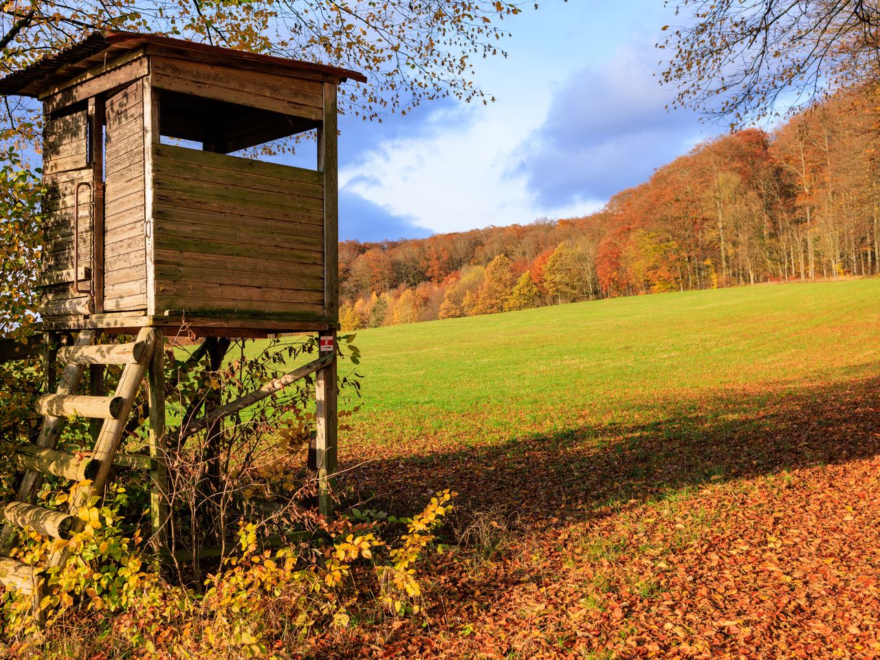 3 romantische Tage am See im Harz