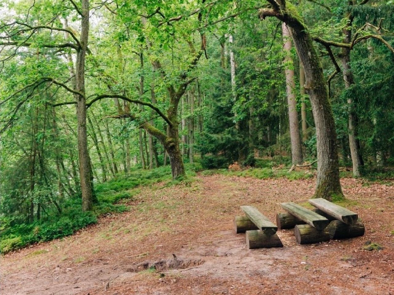 Wandern an der Müritz