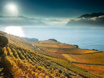 2 Tage Kulinarik und Weingenuss am Genfer See