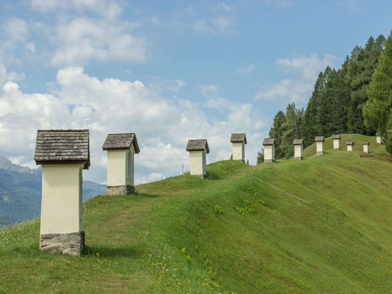 Wanderurlaub mit 4 Pfoten