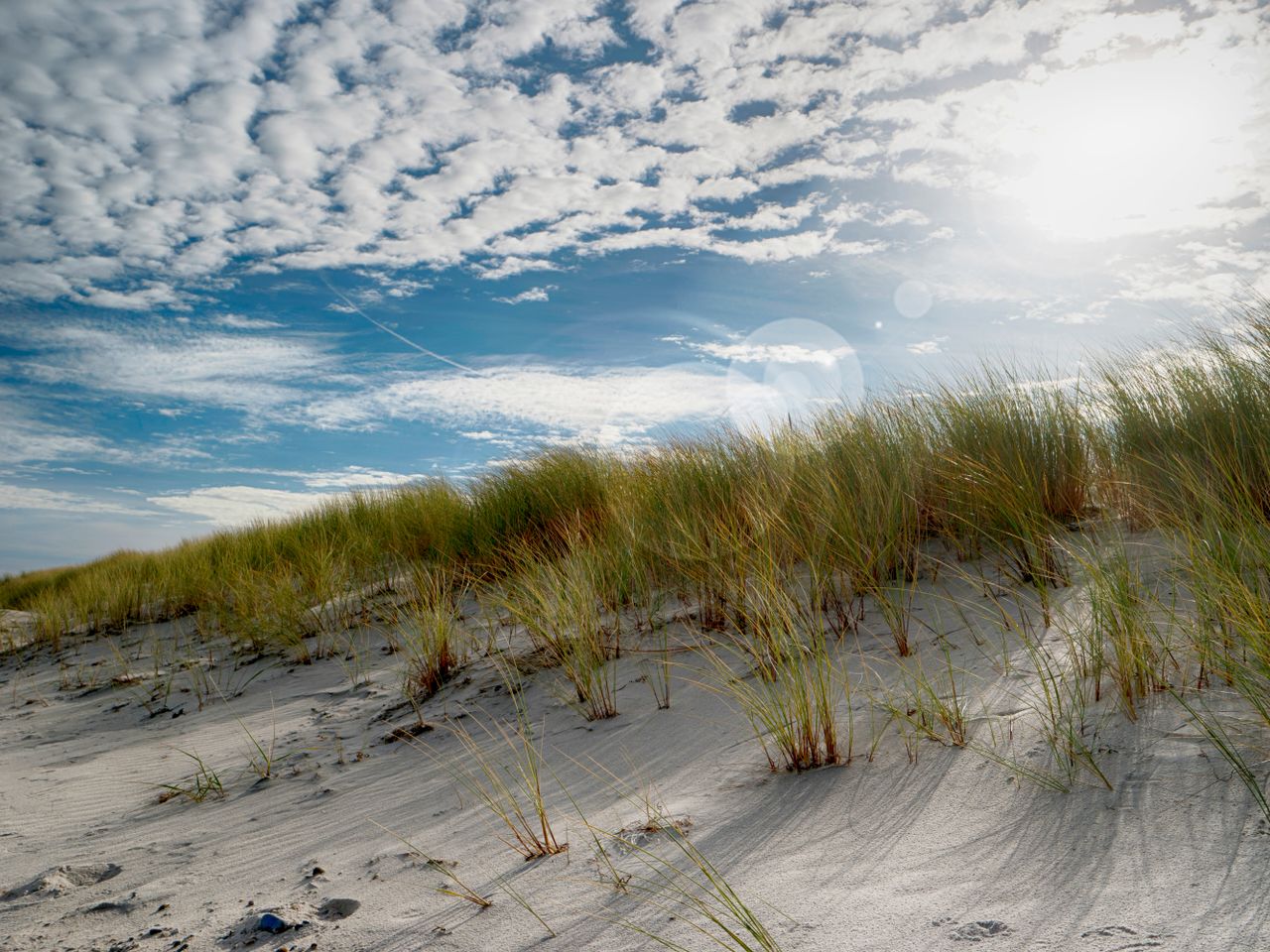 8 Tage Nordsee-Auszeit in Zeeland mit Frühstück