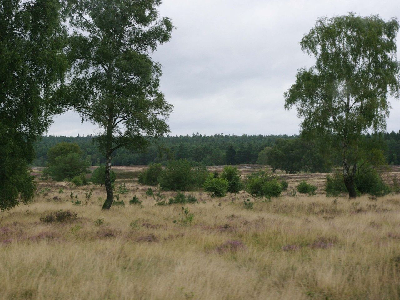 Durchatmen in der Lüneburger Heide