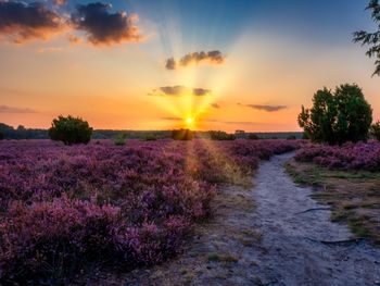 Romantiktage in der Heide