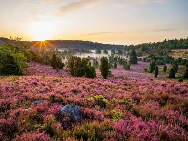 2 Tage ….natürlich Bad Bevensen in der Lüneburger Heide, Niedersachsen inkl. Frühstück