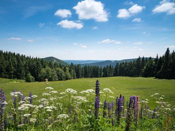 4 Tage im Hotel Kammweg am Rennsteig mit HP