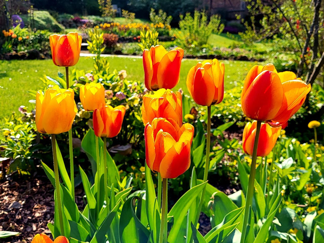 Der Mai ist gekommen - Frühlingsluft im Ficheltebirge