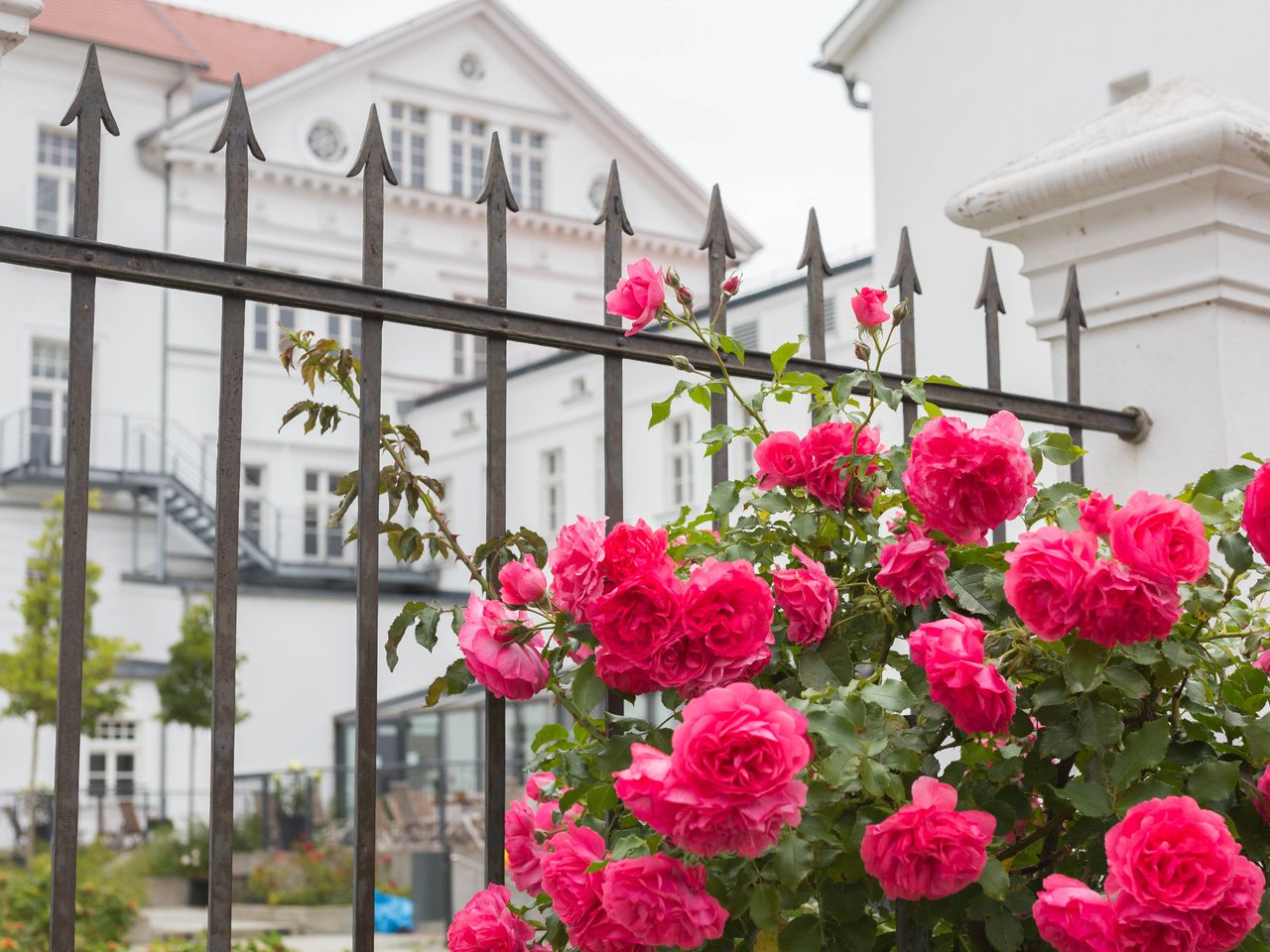 6 Tage Auszeit auf Rügen mit Halbpension