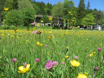 Auszeit im Allgäu - 3 Nächte