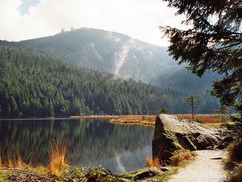 Ihr Glückstreffer im Bayerischen Wald