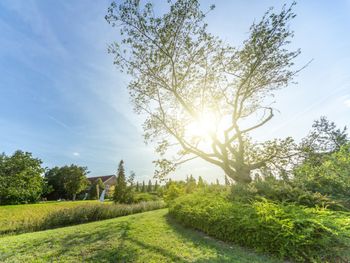 8 Tage Kurzurlaub in Stralsund und 1x Abendessen